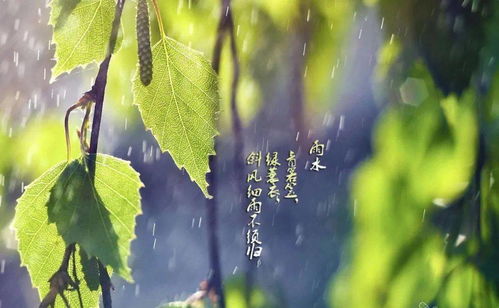 一、 雨水节气的自然属性与农事意义