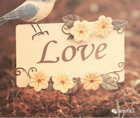 以婚的人梦到有人介绍对象，预示着什么好事要发生？