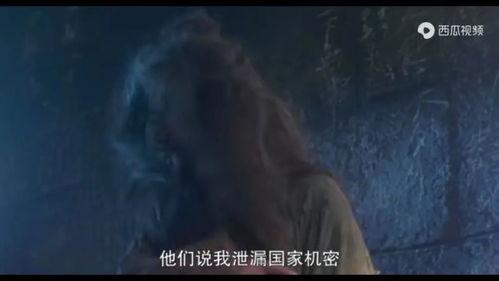 案件的真实相