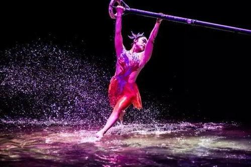 方案二：花鸟鱼虫型