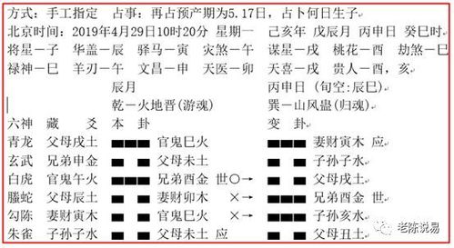 （三）后续跟踪及效果评估