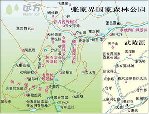 2. 导游较小林的“真实香”与“购物陷阱”