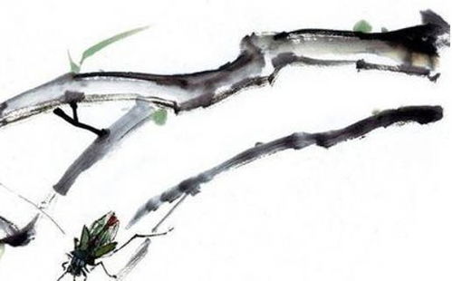 96年属鼠水命人的那些糟心事