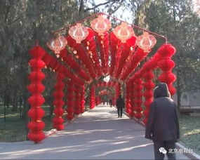 门票抢购的“血战”——从技术手段到心理状态