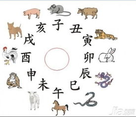 起名这档子事儿，咋就这么难呢？