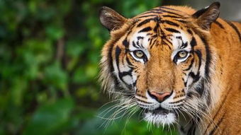 五、 结论与反思