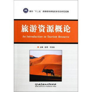 策略建议：差异化路径（随意发挥）