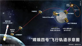 三、  “煌黑龙”的属性演化与战斗策略的博弈解析