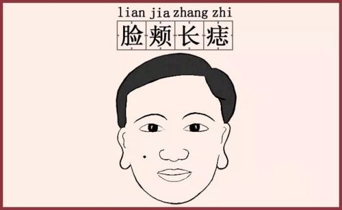 子女缘探析：传统观念与现实考量