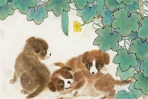 1970年属狗人2026年兔年运势和2027年运势分别如何？