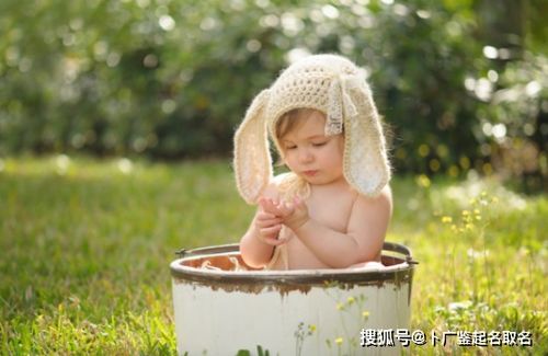 为兔宝宝女孩取名，有哪些良好的推荐？