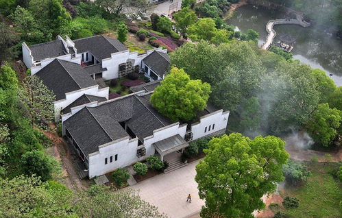 山背靠与庭院植被配置的综合考量