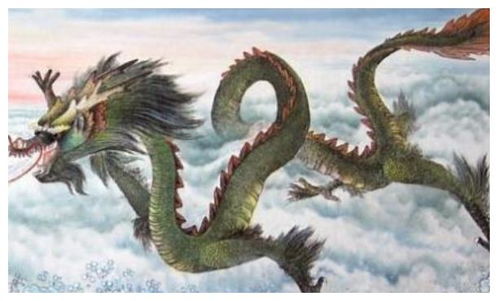 2026年属龙的人适合与哪些生肖搭档，他们的2026年事业运势如何？