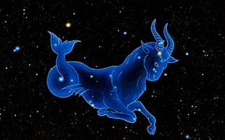 2026年摩羯座运势中，摩羯座的幸运吉时喜欢什么样的礼物呢？