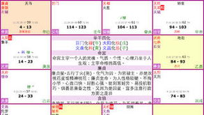 四化飞星概念框架