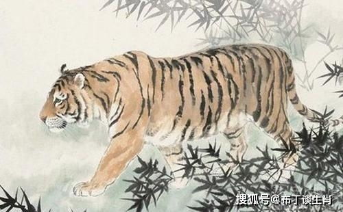 牛年生