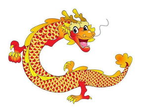 关于属虎人与属龙人的基本兼容性