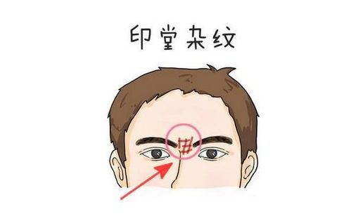 事业合作中的挑战与桃花运