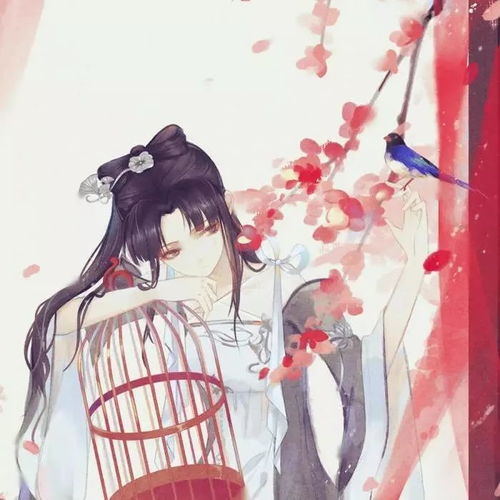 有哪些唯美古风的四字女孩名字，听起来既好听又充满诗意？