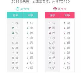 公司命名的十分沉关键性