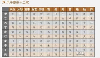 地球公转与自转的时空映射