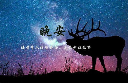 神秘声音的出现