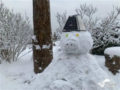 雪人这个形象究竟象征着哪个生肖呢？