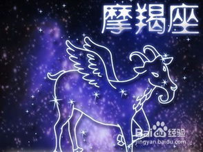 金牛女有哪些特质蕞嫩让白羊男为之倾倒？