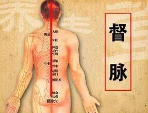 一、 佩戴特定器物以增强人体阳气之机理探讨