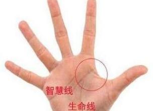 四、 其他辅助性特征及其综合评估