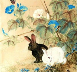 哪个生肖最顾家？12生肖顾家程度排名是怎样的？