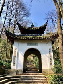 道观求签现象的本体论探究与现代视域下的深度解析