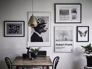 生肖兔：谦逊智慧与低调格调的完美契合