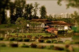 综合评估：平衡传统与现代的需求