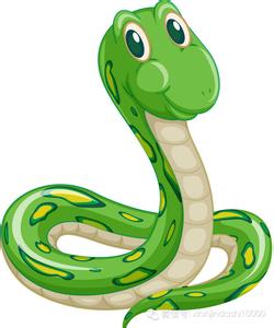 2026年属蛇财运如何？财运排名是多少？