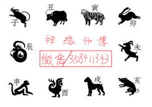 1.3 属猴者：灵活多变的创新挽回方式