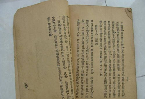 ：中古时期天师道的历史地位与文化意涵