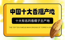 电子票务系统の诅咒