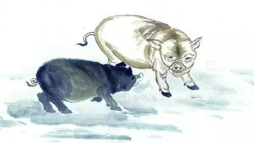 2026年属猪剖腹产吉日和安灶吉日分别是什么？