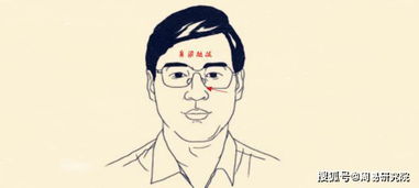 社交活动参与路径