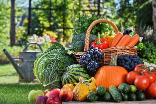 男士专属噩梦：蔬菜带来的水逆套餐