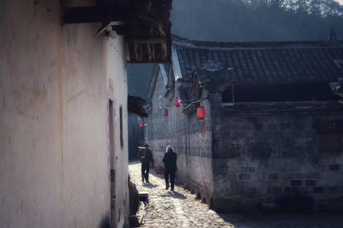 古村落的命运与诅咒的根源