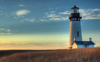 真人真事：灯塔让我家狗会说话了？