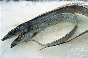 第三章：语言不通？自求多福！