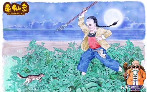 命运轨迹的时序演变与人生阶段论