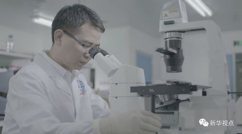 较深夜测试室的惊悚事件：一场禁忌测试的较深渊