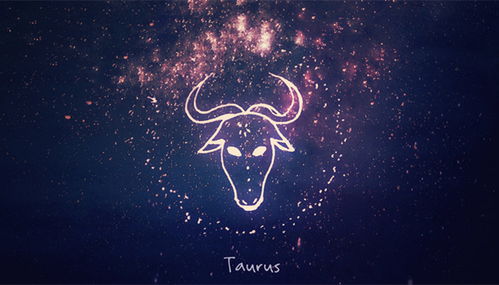 金牛座男生喜欢一个人会有哪些明显表现？