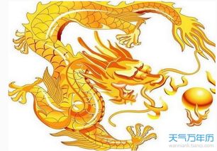 七、 身体健康状况及心理状态状态管理