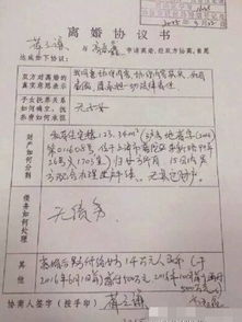 一、 探究背景与目的