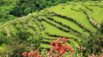 【3】网红照都是骗人的！